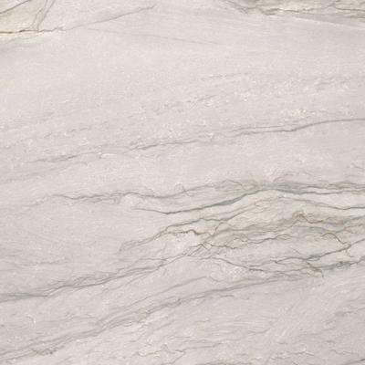 Marble Platinum Perla 24x48 Rectified