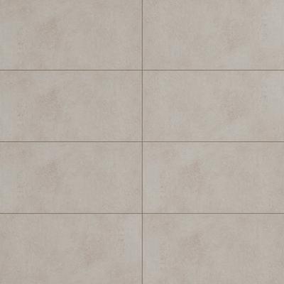 Pro Max Nude 12x24 ABS