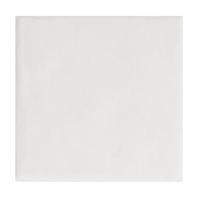 Aquabella Beachfront La Jolla 6x6 Porcelain Pool Tile