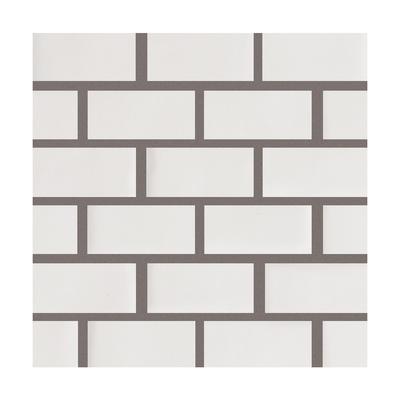 Aquabella Beachfront La Jolla 1x2 Porcelain Mosaic 12"x12" Pool Tile