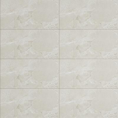 Avalon Arena 24x48 Rectified