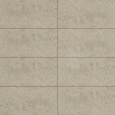 Piasentina Silver Unpolished 12x24 R