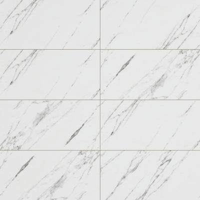 Venato 12x24 R Unpolished