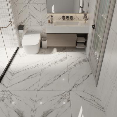 Venato 24x48 R Polished - Hover