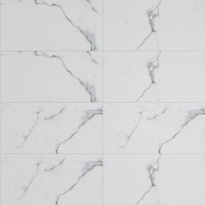 Bianco Venatino Polished 24x48 R