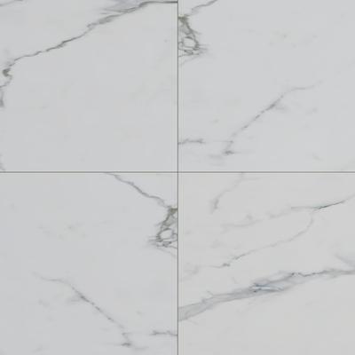 Bianco Venatino Unpolished 24x24 R