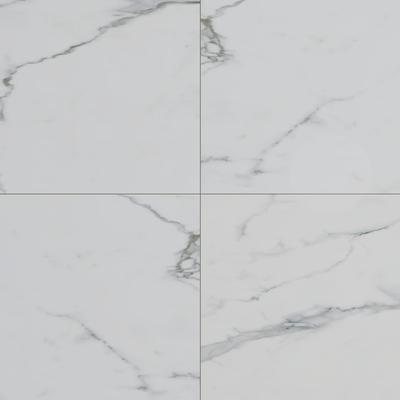 Bianco Venatino Polished 24x24 R