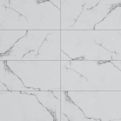 Bianco Venatino Unpolished 12x24 R