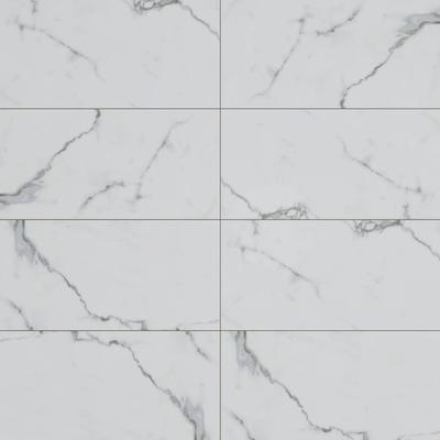 Bianco Venatino Polished 12x24 R