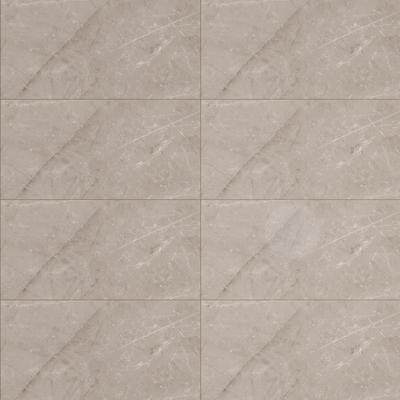 Jewels Etienne Gray Polished 24x48 R