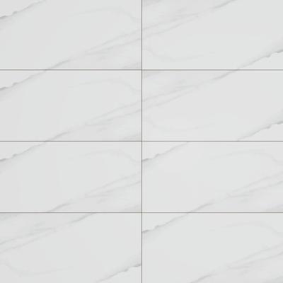 Jewels Vince White Polished 12x24 R