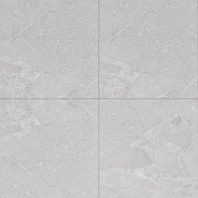 Avalon Blanco 48x48 Rectified