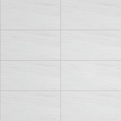 Lassa White Polished 24x48 R