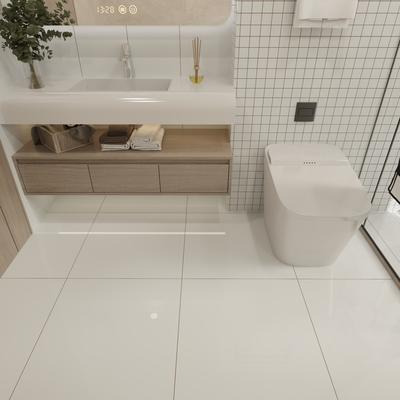 Nordico Snow 24x24 R Polished - Hover