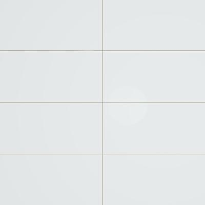 Nordico Polished 12x24 R