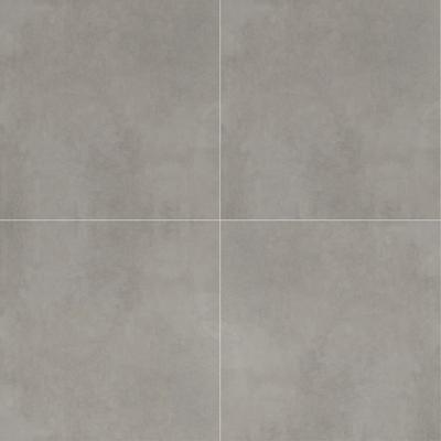 Slabs Concrete Gray 48x48 R ABS