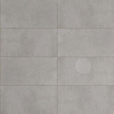 Slabs Concrete Gray 24x48 R Polished