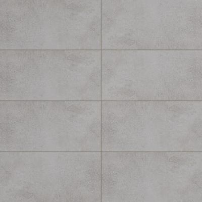 Pro Max Cement Unpolished 12x24 R