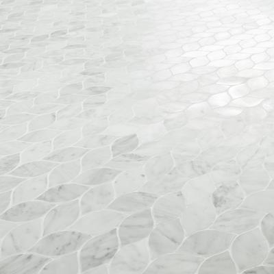MSI Carrara White Blanco Honed