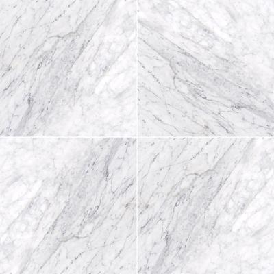 MSI Carrara White (c) 18x18