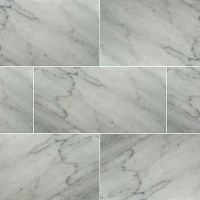 MSI Carrara White 12x24 Honed