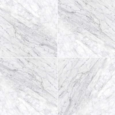 MSI Carrara White (c) 12x12