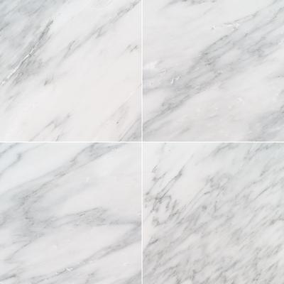 MSI Arabescato Carrara 18x18 Honed
