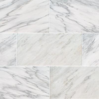 MSI Arabescato Carrara 12x24 Honed
