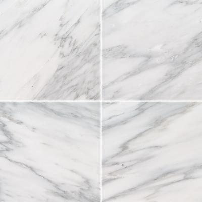 MSI Arabescato Carrara 12x12 Honed