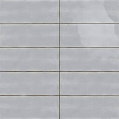 Maiolica Bright Tender Gray 4x10