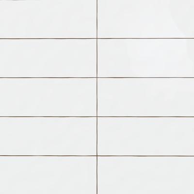 Maiolica Bright White 4x10