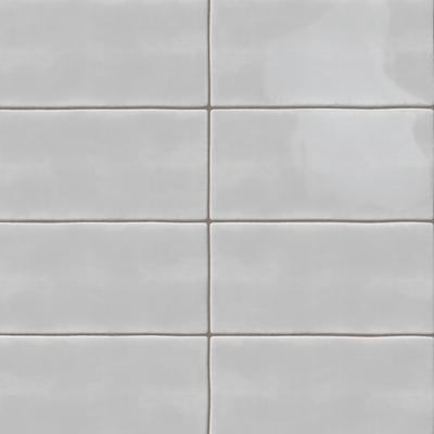 Maiolica Bright Tender Gray 3x6