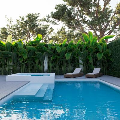 Aquabella Beachfront Crystal Cove 1x2 Porcelain Mosaic 12"x12" Pool Tile - Hover