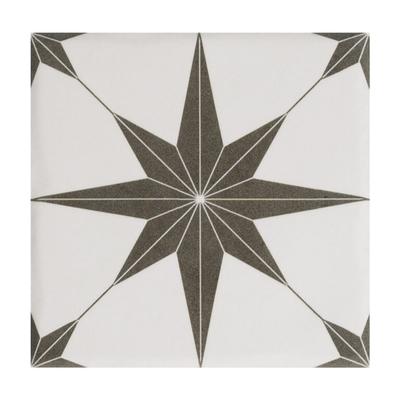 Aquabella Beachfront Laguna 6x6 Porcelain Pool Tile