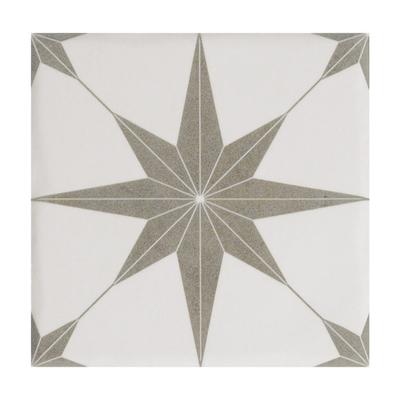 Aquabella Beachfront-Palisades 6x6 Porcelain Pool Tile