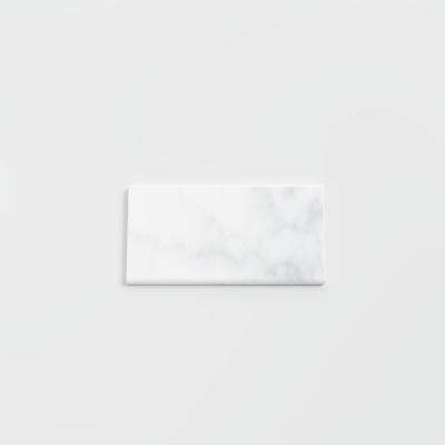 Statuary Wall Bright 3x6 Single Bullnose