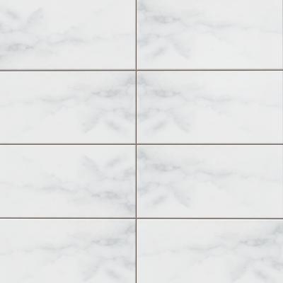 Statuary Wall Bright 3x6