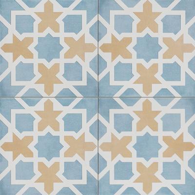 Maiolica Floor Maiolica Pattern Coto 8x8