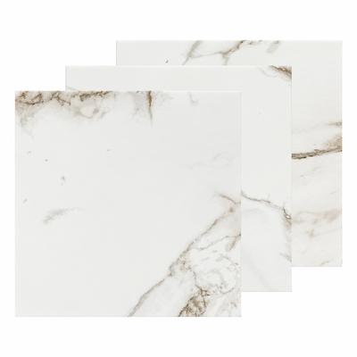 Aquabella Stone Age Calacatta 6x6 Porcelain Field Tile