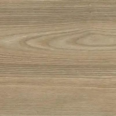 Almond