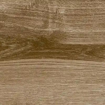 Walnut UP