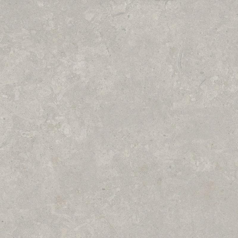 Silvano Fiorito Gray 24x48 R - Image 1