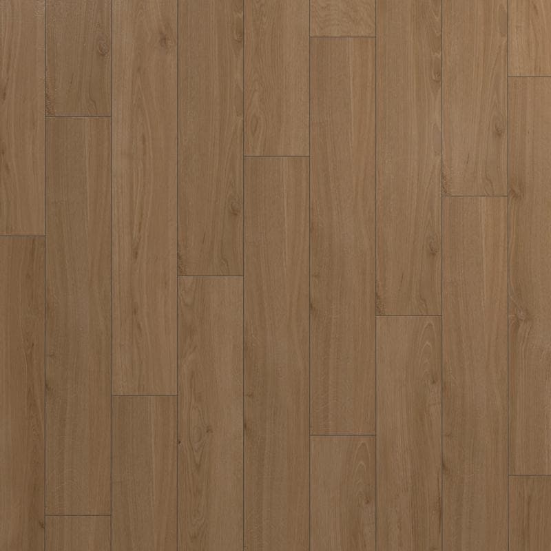 Polaris Almond 10.5x64 R - Image 6