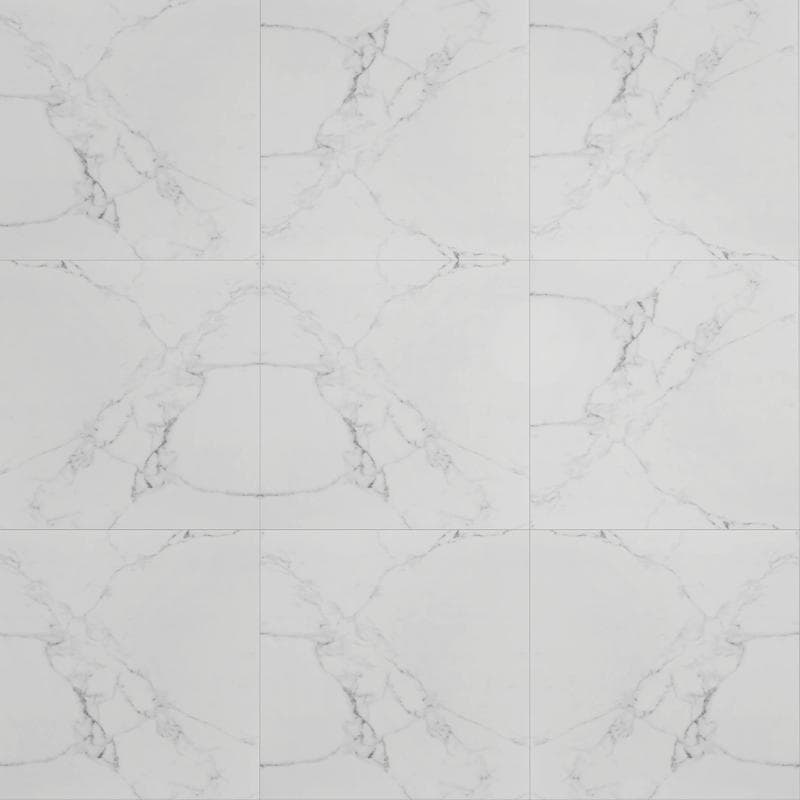 Noire Carrara 48x48 R Unpolished - Image 6