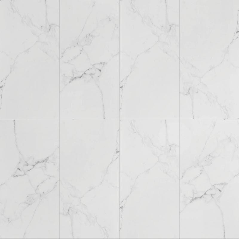Noire Carrara 24x48 R Unpolished - Image 1