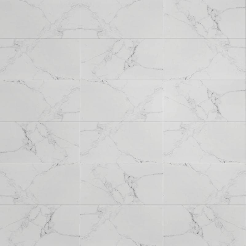 Noire Carrara 24x48 R Polished - Image 6
