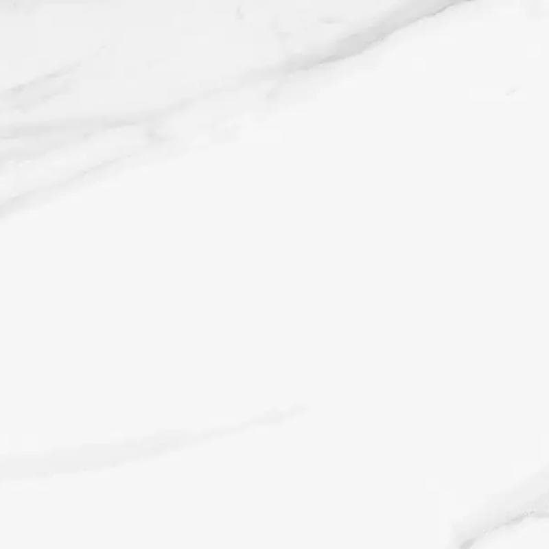 Celeste Vince White Polished 24x48 R - Image 1