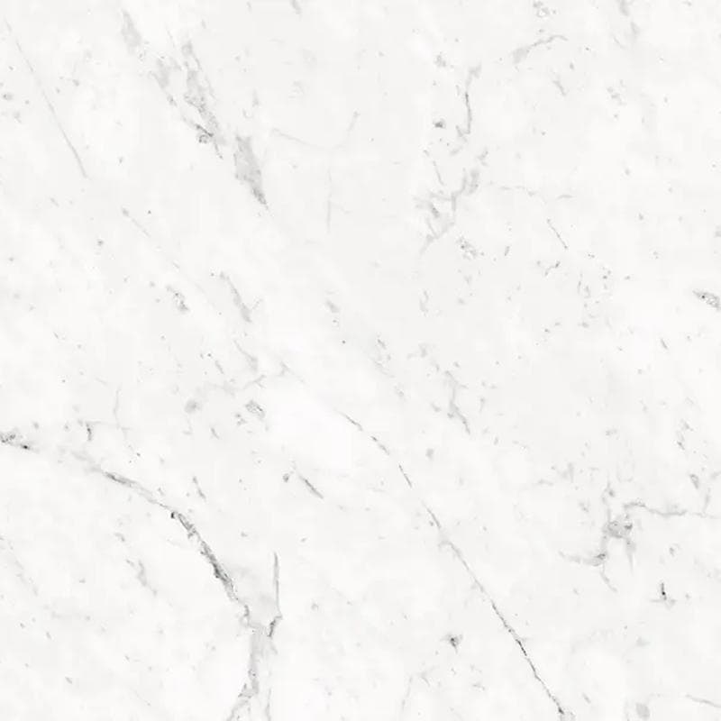 Celeste Mattia White Polished 24x48 R - Image 1