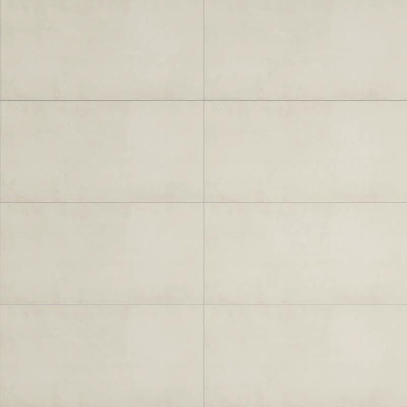 Adrielle Blanco Polished 24x48 R - Image 1