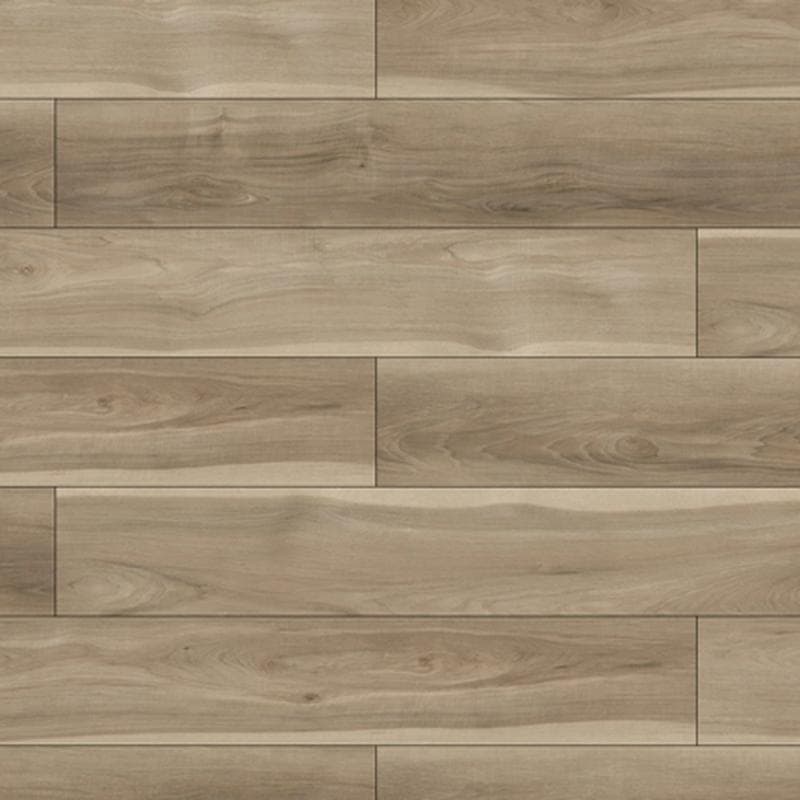 Daisy Prime Birch 20 mil 7x48 Field Luxury Vinyl Plank - Image 1